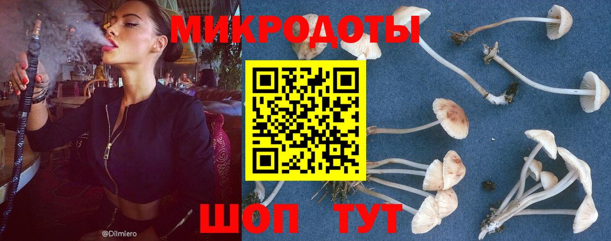 наркошоп  Псилоцибиновые грибы MAGIC MUSHROOMS  Вход с VPN  Богданович 