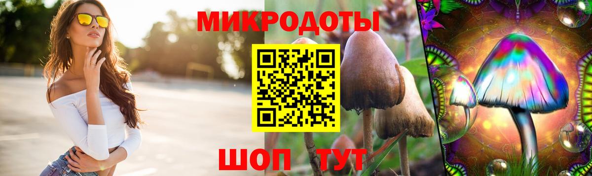 Псилоцибиновые грибы мицелий Богданович