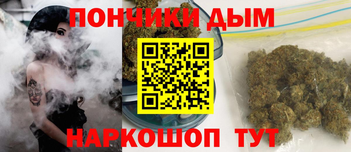 Шишки марихуана марихуана Богданович